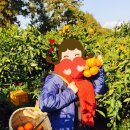 하임농장 이미지