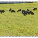 행복이농장 이미지