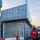 인천 바다 낚시 연안부두 배낚시 <인천유선 반가워호> 광어 우럭 오전 낚시 체험 후기