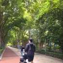 민백어린이공원 이미지