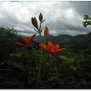 대성초삼거리 이미지