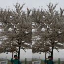 월송동주민센터 이미지