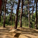주공4차경로당 이미지