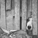 판교피트니스센터 이미지