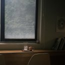학익1동 행정복지센터 기타 | 차와 책읽기에 집중하기 좋은 천안 신부동 카페 추천 심지티룸 후기