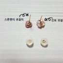 G1498 이미지