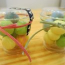 동그리솝 이미지