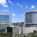 강남-022 이미지