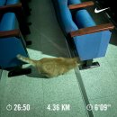 이동제 | 왓츠인마이…..재뉴어리