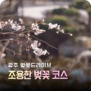 호남대학교 | 광주 벚꽃 드라이브코스 호남대학교 송산유원지 지금은 아직… 다음주가 좋을 듯