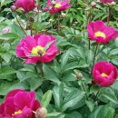 (주)오늘의선물 이미지