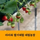 대림1농장 이미지