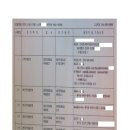 까멜레옹