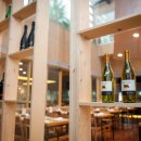 라피에스타 이미지