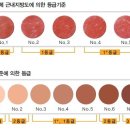 고기백과