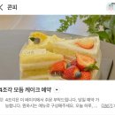 61 | [콘피] 조각케이크 네이버예약 후기 | 신도림 디저트 맛집 추천 | 내돈내산