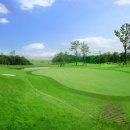 BEST 골프클럽 | ⛳ 파3 골프장 BEST 3｜가평 더 스테이힐링파크·드림 듄스·서평택 골프클럽 솔직 후기