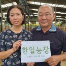 미혜농장 이미지