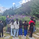 학교농장 이미지