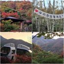 [공지] 광주 화담숲 주차장 팁과 리프트 단풍 현황