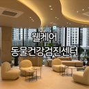 웰케어 동물건강검진센터·동물한방재활센터 | 부산 고양이 건강검진 비용 금식 주기 웰케어동물건강검진센터