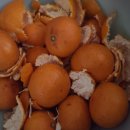 월석농장 이미지