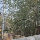 수서-107 | [수서] 수서역 인근 감성 맛집 카페 "노타임포유"