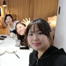 아스콧헤어 이미지