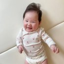 늘붐화원 이미지