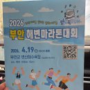 비상급수대 화장실 | [후기] 2026 부안해변마라톤 5k 거북이러너의 찐후기(feat. 밥도둑런)
