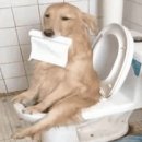 경북외과의원 이미지