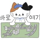 세기약국 이미지