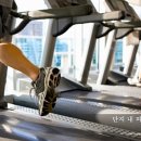 양지포레스토리 이미지