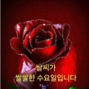 기적이 일어나는 노각효능(오이) 이미지