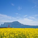 신영농장2 이미지