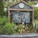 섬진강사랑의집 | 전남 가 볼만한 곳, 섬진강 장미공원 장미축제