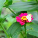 김영자농장 이미지