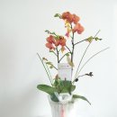 영인한의원 이미지