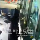 만만디 이미지