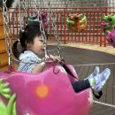 가야미니슈퍼 | 김해 아이랑 가야랜드 키90센치 4월 20일 후기