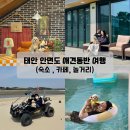 충남 태안 애견동반 여행 일기 반려견과 함께 가볼만한 숙소 카페 놀거리 추천