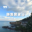 부산여행 해동용궁사 : 부산여행중 제일 좋았던 바다 사찰 데이트 (입장료,주차,소개소개)