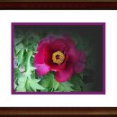 유행가 노래연습장 이미지