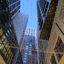 모헤닉 호텔 서울 명동 | 서울 호텔 더보타닉 명동 방문 후기｜명동 감성 숙소 추천, 위치·객실·조식까지 솔직 리뷰