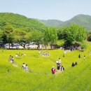 숭진초등학교 이미지