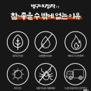 피톤치드캠핑장작 이미지