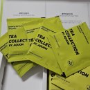 주식회사 힐링팜 | 아쿠온티컬렉션 프리미엄티백 후기｜새싹인삼티백으로 즐기는 힐링차