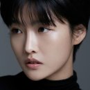 와이이엘 이미지