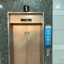 뚜뚜애견 | 양산 물금 애견미용 잘 하는 곳 [라이크어독]