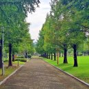 천안종합휴양 이미지